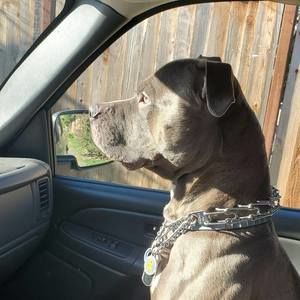 Meet your Posher, Efrain